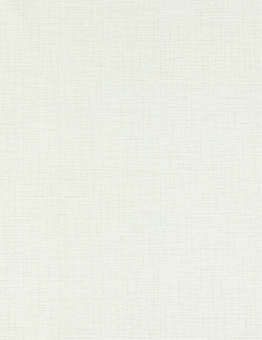 Обои Harlequin Textured Walls 112096