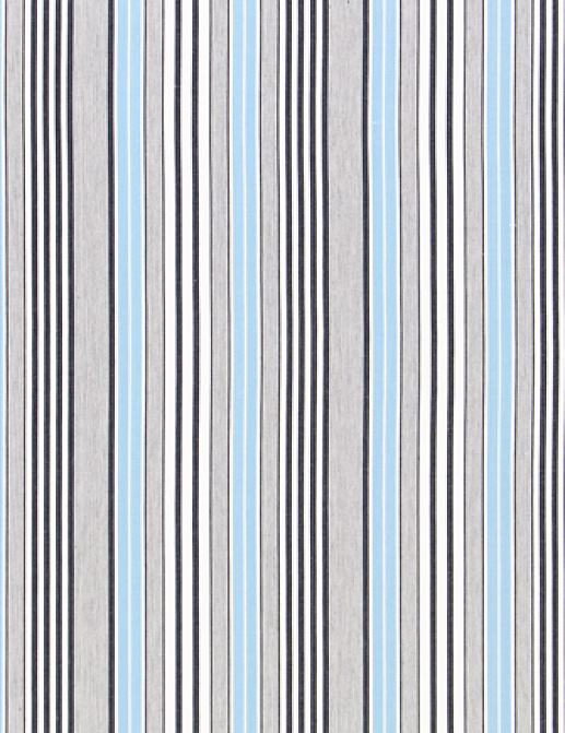 Ткань Designers Guild Tickings F1907/04