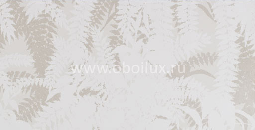 Обои Hookedonwalls Jealous Walls 77108