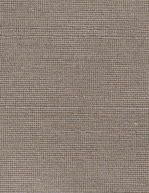 Обои Yana Svetlova Wallcoverings Indian Silk T-NatS-10