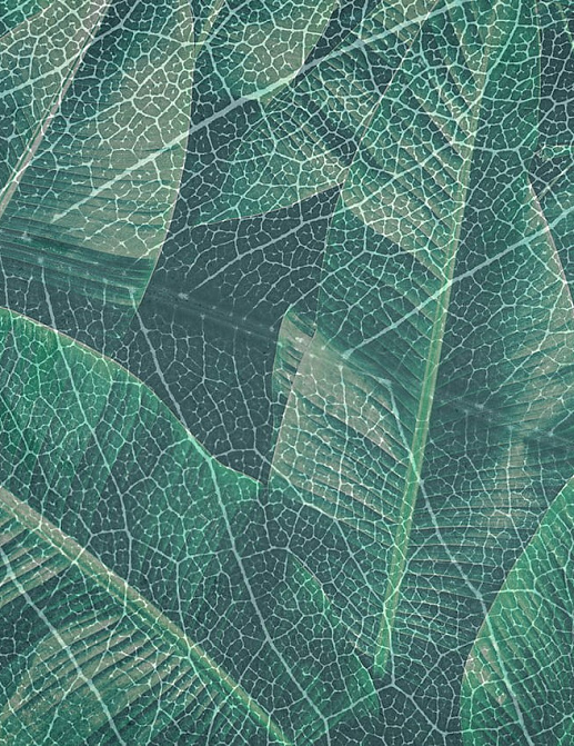 Панно и фотообои Gemini Designer murals collection KT349M-A