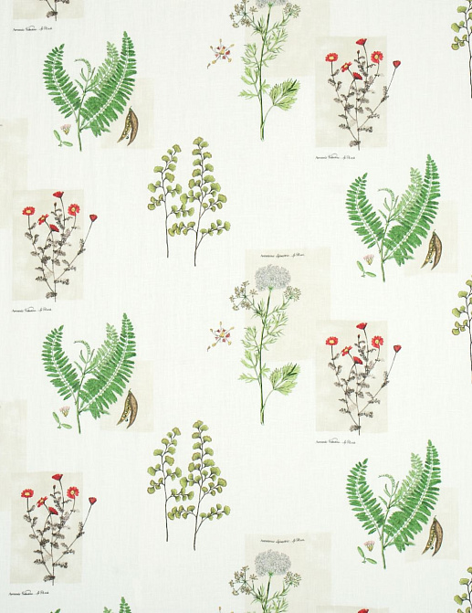 Ткань Sanderson Parchment Flowers DPFPPF201