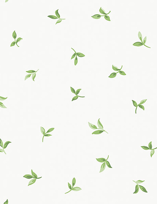 Обои Aura English Florals G34342