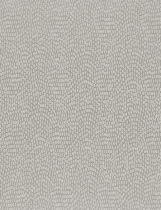 Ткань KAI Aravalli Sudetes/Silver