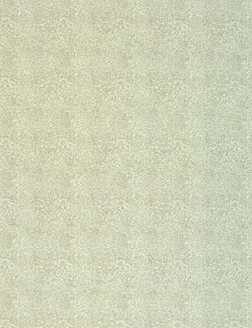 Ткань Designers Guild Bernardini F1766/01