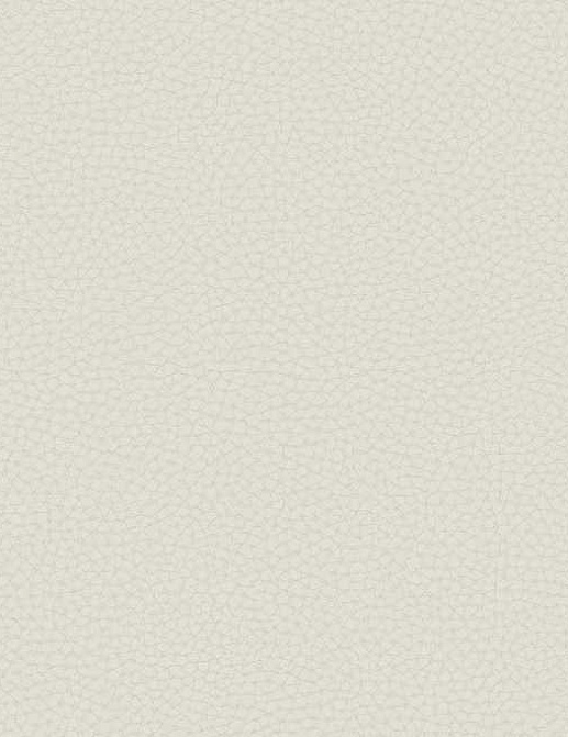 Обои Carl Robinson Edition 17 - Loft CR83001