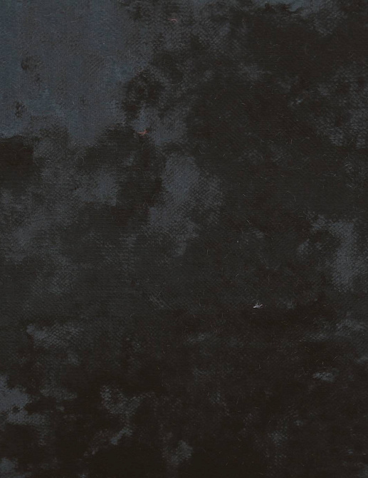 Ткань Clarke & Clarke Black + White F0650/05