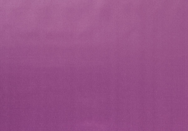 Ткань Designers Guild Santiago F1649/25