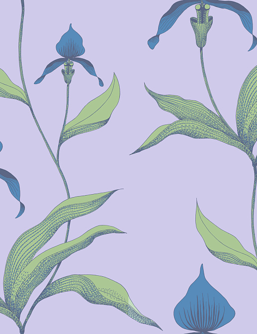 Обои Cole & Son New Contemporary 66/4031