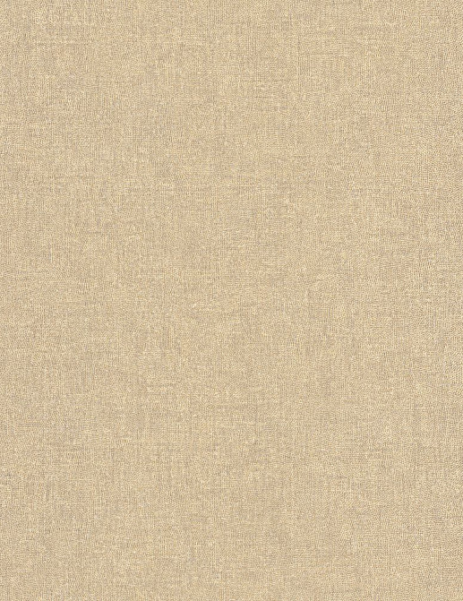 Обои Casadeco So Color 6 SOCO88701489