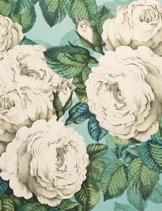 Обои Designers Guild John Derian - Picture Book PJD6002-03