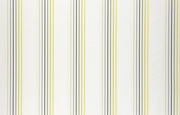Ткань Designers Guild Fleuve F1933/02