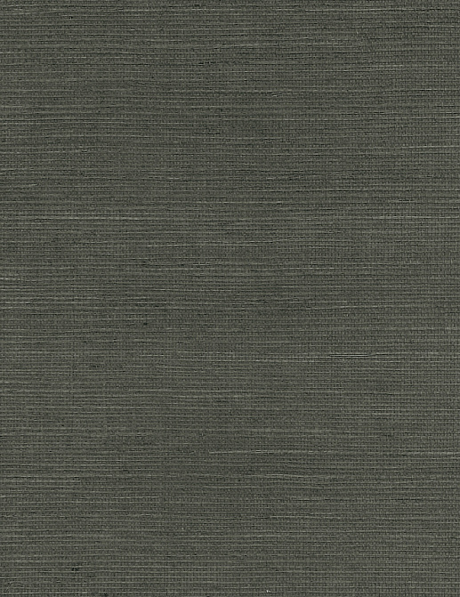 Обои Paper & Ink Pure Elements SY21887