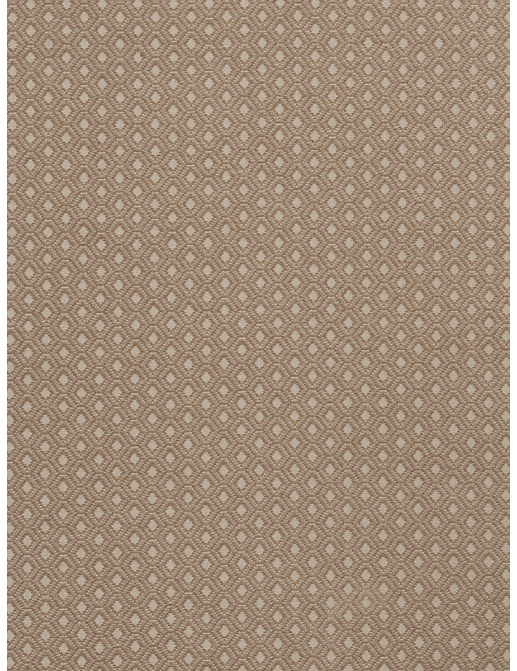 Ткань Fabricut Charlotte Moss Canvas Barnave/Canvas