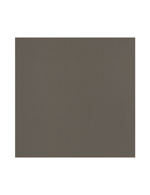 Обои Caselio Pretty Lili 58049000