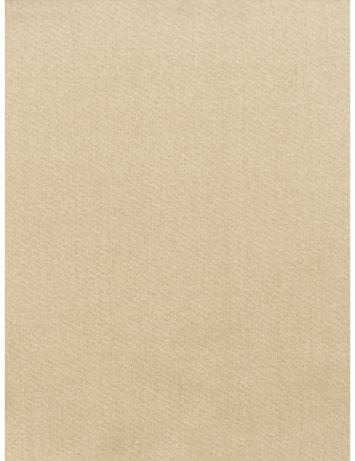 Ткань Trend Sleek satin 02022 Beige