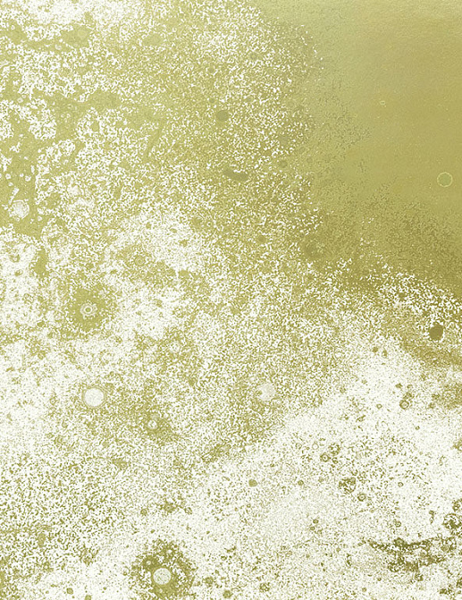 Панно и фотообои Calico Inverted Spaces Corona