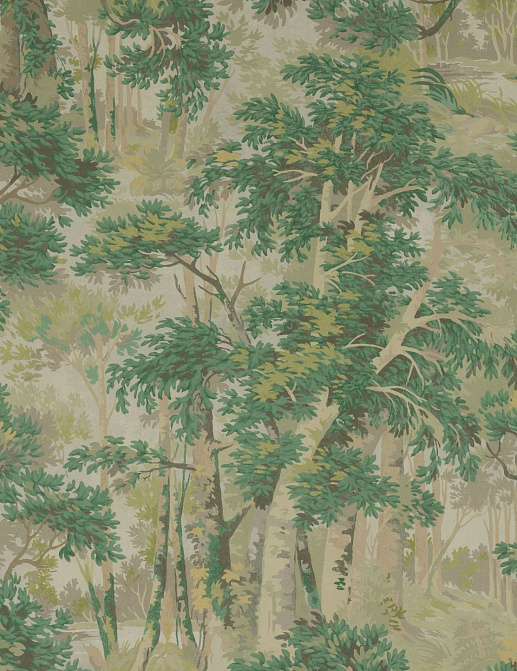 Обои Colefax and Fowler Ashdown Wallpapers W7016/02