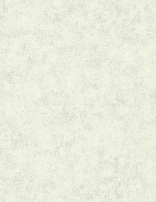 Обои Caselio Beton 2 BTO101487140
