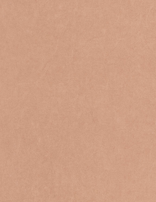 Обои Casadeco Cotton Touch COTO82381958