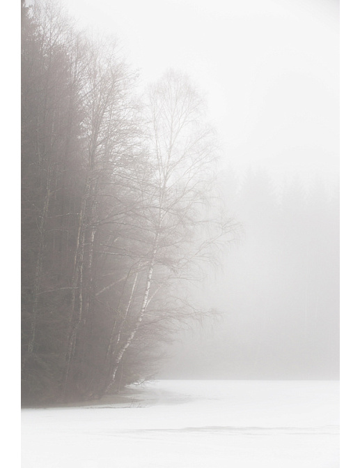 Панно и фотообои Affresco Фрески и фотообои ID13469