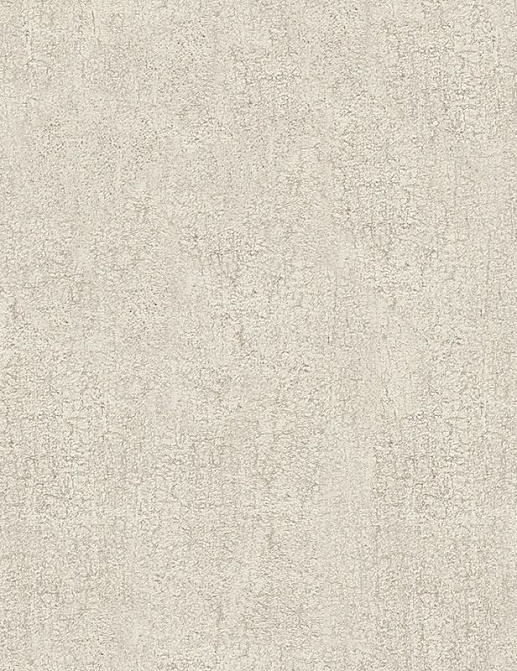 Обои A. S. Creation Dekora Natur VI 9592-04