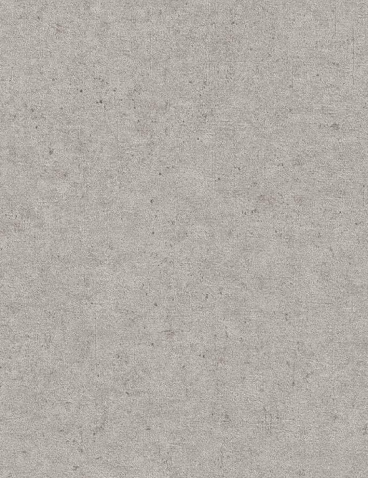Обои Rasch Concrete 520866