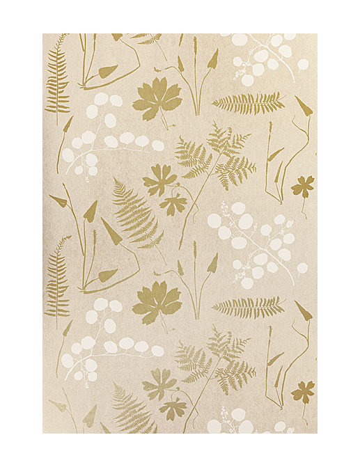 Обои Schumacher Modern Nature 5005010