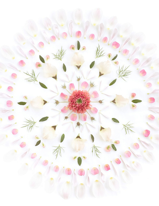 Панно и фотообои Sandberg Flora Sandbergica 629-02