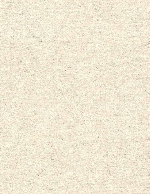 Обои Rasch Concrete 520835