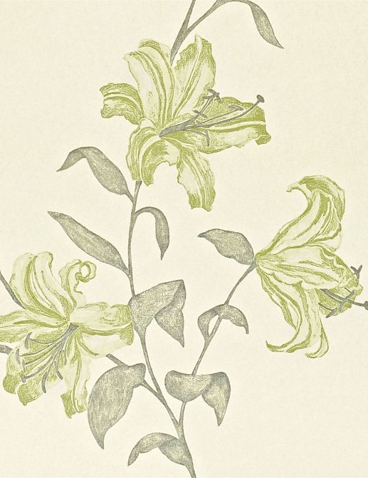 Обои Sanderson Wallpapers from a Painters Garden DAPGSE105