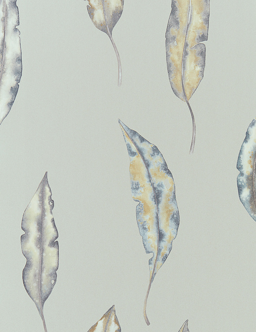 Обои Harlequin Anthozoa 111656