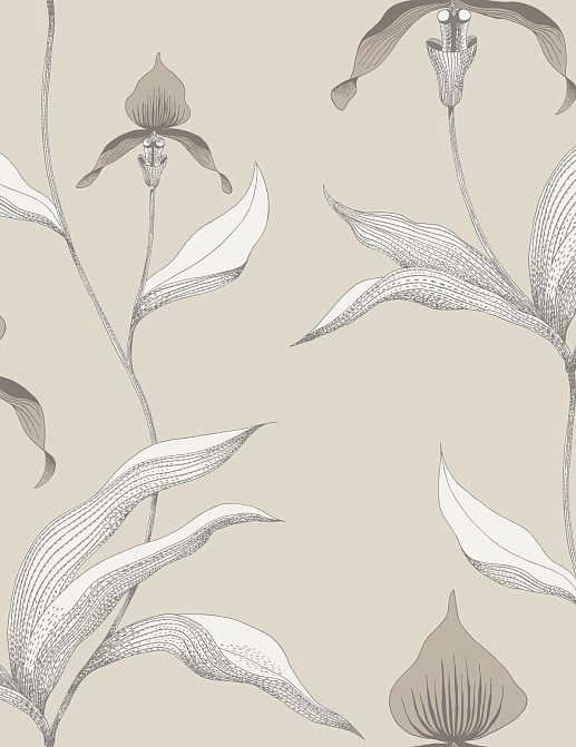 Обои Cole & Son Contemporary Restyled 95/10058