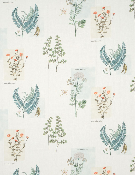 Ткань Sanderson Parchment Flowers DPFPPF203