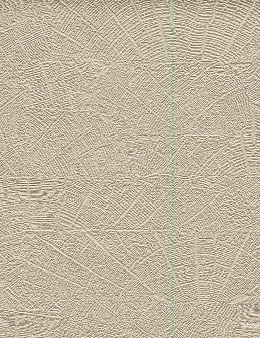 Обои York Natural Digest ND3062