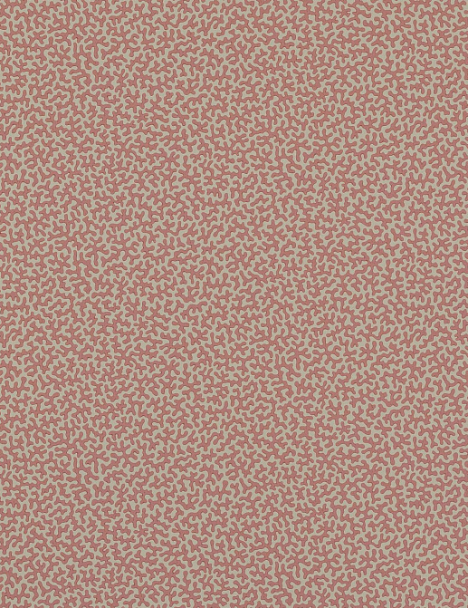 Обои Colefax and Fowler Small Design Wallpapers II W7014-05