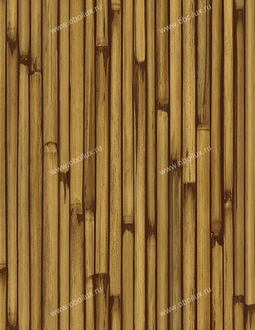 Обои Chesapeake Natural Living NL58113