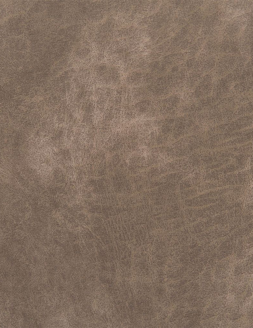 Ткань Designers Guild Nevada FDG2540/10