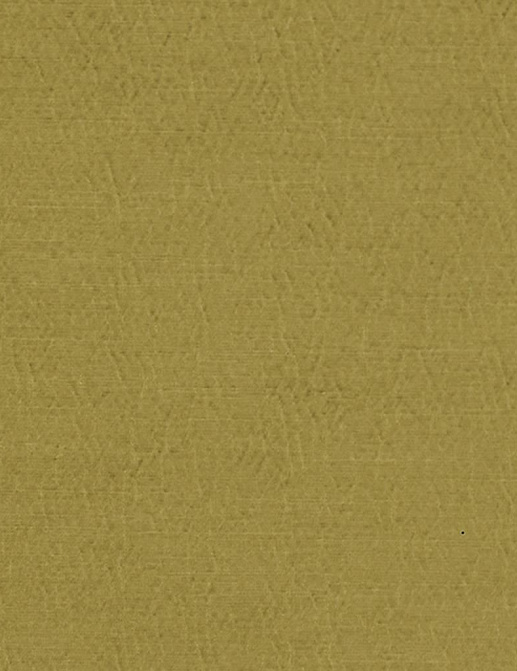 Ткань Designers Guild Anshu FDG2896/38
