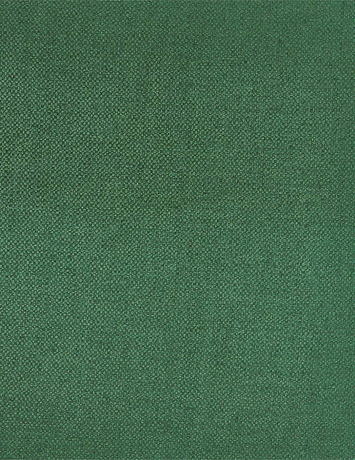 Ткань Zoffany Colours 333171