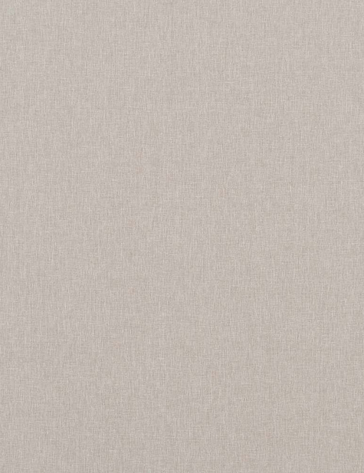 Ткань Baker Lifestyle Notebook Carnival Plain PF50420/925