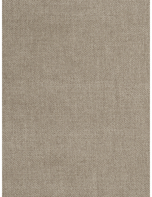 Ткань Trend Drapery dim out library 02890/Mushroom