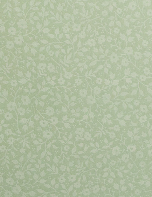 Обои Eijffinger Pip III 341064