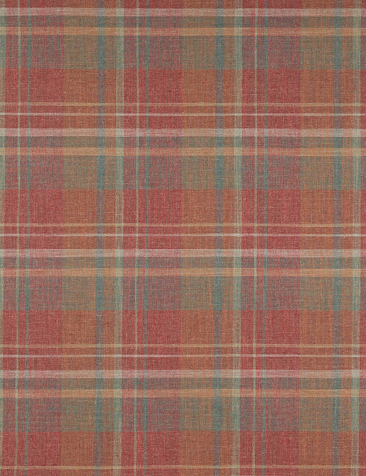 Ткань Colefax and Fowler Magnus Checks F4722/04