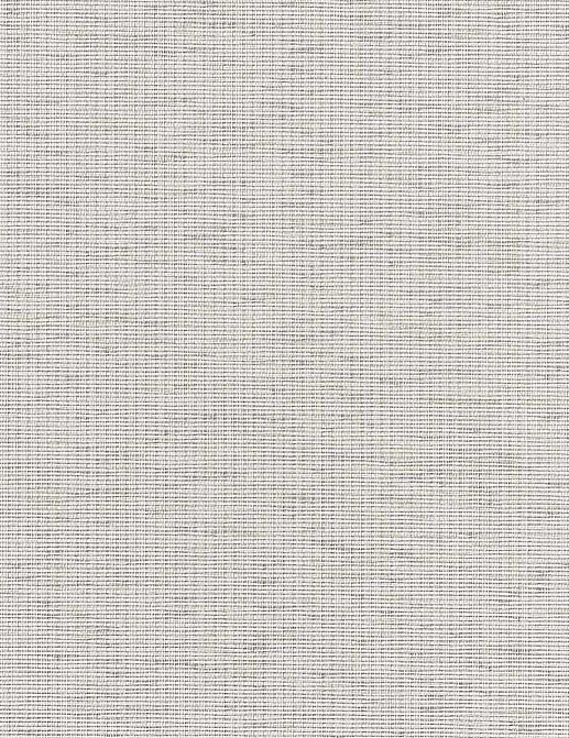 Обои Phillip Jeffries Simply Seamless 2291