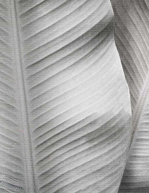 Панно и фотообои Affresco New Art RE196 COL4