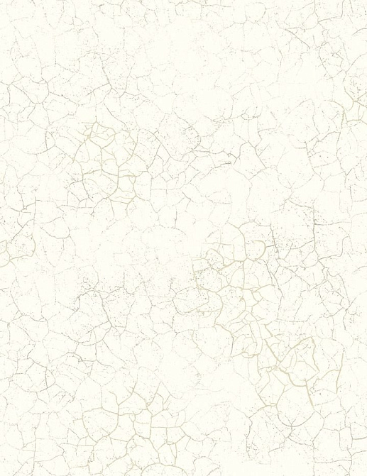 Обои Mayflower Transition FJ31210