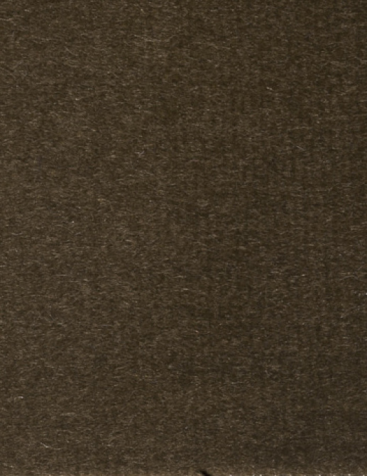 Ткань Alessandro Bini Velluto di Cotone G075/640