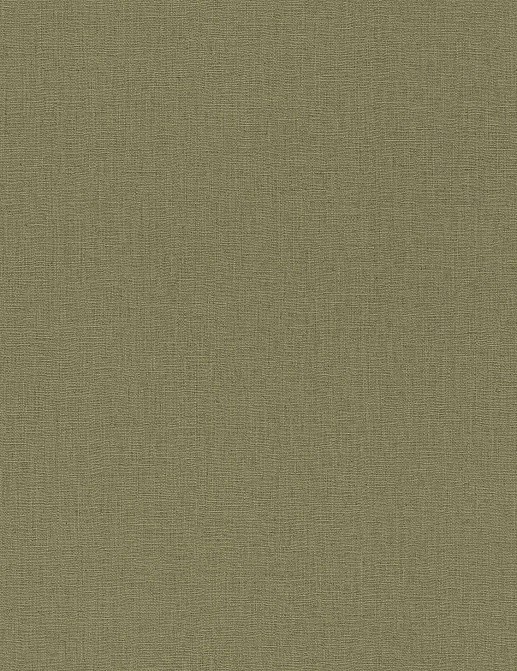 Обои Rasch Barbara Home Collection III 560183
