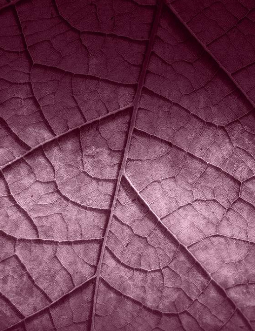 Панно и фотообои Skinwall Contemporary Collection 125B